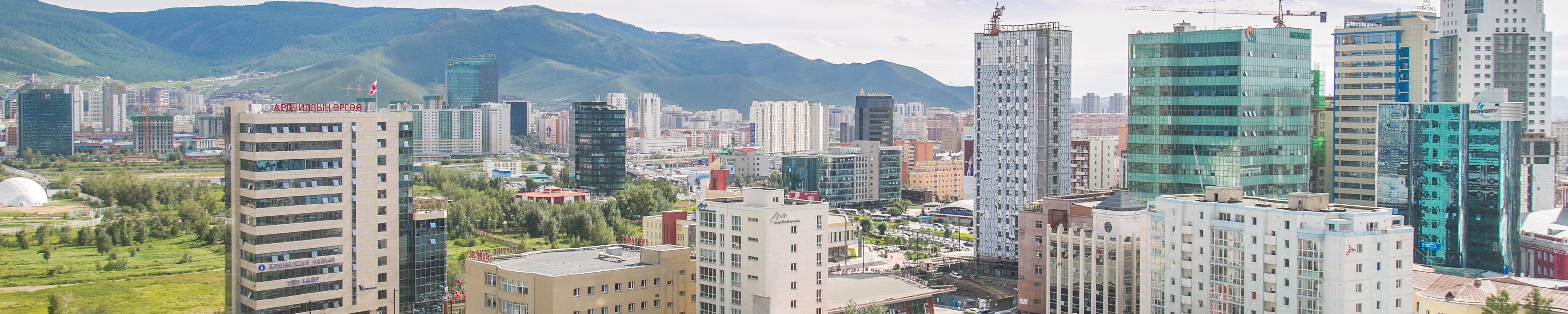 Mongolian Properties Copyright