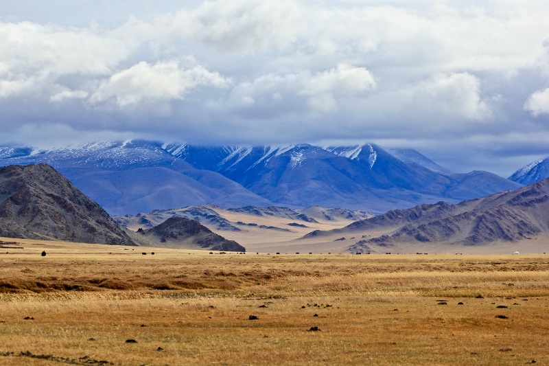 bolatbek-gabiden-dsL_tvf1Z-E-unsplash-1