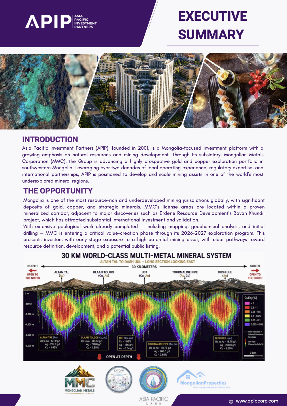 Executive Summary cover